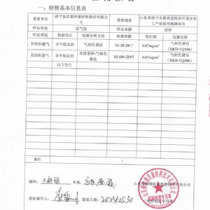 檢測報(bào)告(2024.05.30)